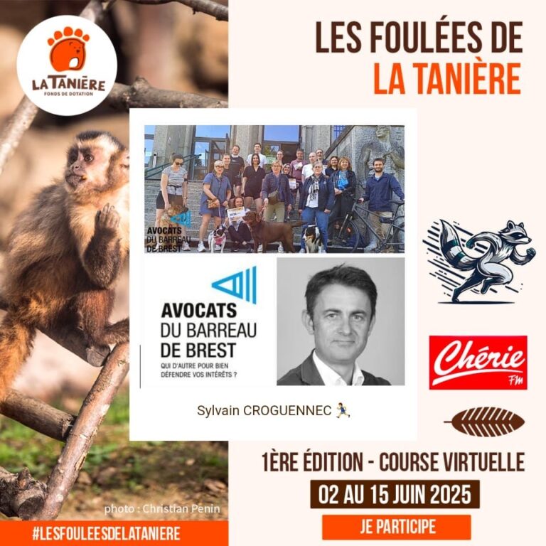 la taniere - Quimper Brest